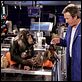 The Shaggy Dog : photo Brian Robbins, Tim Allen