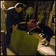 The Da Vinci Code - Sakrileg : photo Alfred Molina, Dan Brown, Ron Howard