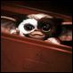 Gremlins