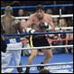 Rocky Balboa : photo Antonio Tarver, Sylvester Stallone