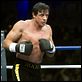 Rocky Balboa : photo Sylvester Stallone
