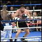 Rocky Balboa : photo Sylvester Stallone