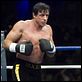 Rocky Balboa : photo Sylvester Stallone