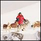 Antarctica - Gefangen im Eis : photo Frank Marshall