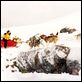 Antarctica - Gefangen im Eis : photo Frank Marshall