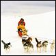 Antarctica - Gefangen im Eis : photo Frank Marshall, Paul Walker