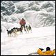 Antarctica - Gefangen im Eis : photo Bruce Greenwood, Frank Marshall, Paul Walker