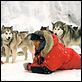 Antarctica - Gefangen im Eis : photo Frank Marshall, Paul Walker