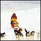 Antarctica - Gefangen im Eis : photo Bruce Greenwood, Frank Marshall, Paul Walker