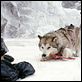 Antarctica - Gefangen im Eis : photo Bruce Greenwood, Frank Marshall, Paul Walker