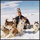 Antarctica - Gefangen im Eis : photo Frank Marshall, Paul Walker