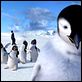 Happy Feet : photo George Miller