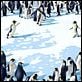 Happy Feet : photo George Miller