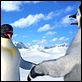 Happy Feet : photo George Miller