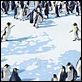 Happy Feet : photo George Miller