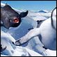 Happy Feet : photo George Miller