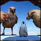 Happy Feet : photo George Miller