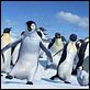Happy Feet : photo George Miller