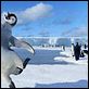 Happy Feet : photo George Miller