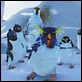 Happy Feet : photo George Miller
