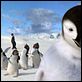 Happy Feet : photo George Miller