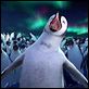 Happy Feet : photo George Miller