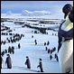 Happy Feet : photo George Miller