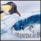 Happy Feet : photo George Miller