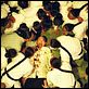 Fearless : photo Jet Li, Ronny Yu
