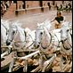 Ben Hur