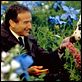 Hinter dem Horizont : photo Robin Williams, Vincent Ward