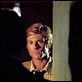 Die Unbestechlichen : photo Alan J. Pakula, Robert Redford