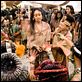 Apocalypto