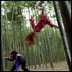D.O.A. - Dead or Alive : photo Corey Yuen, Devon Aoki, Natassia Malthe