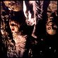 photo Tobe Hooper