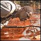 The Reaping - Die Boten der Apokalypse : photo Idris Elba, Stephen Hopkins