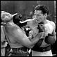 Gentleman Jim, der freche Kavalier : photo Errol Flynn, Raoul Walsh