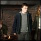 Harry Potter und der Orden des Phönix : photo Daniel Radcliffe, David Yates, Emma Watson, Rupert Grint