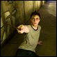 Harry Potter und der Orden des Phönix : photo Daniel Radcliffe, David Yates