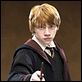 Harry Potter und der Orden des Phönix : photo David Yates, Rupert Grint