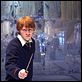 Harry Potter und der Orden des Phönix : photo David Yates, Rupert Grint