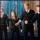 Harry Potter und der Orden des Phönix : photo David Yates, Rupert Grint