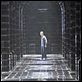 Harry Potter und der Orden des Phönix : photo Daniel Radcliffe, David Yates