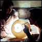 Bug