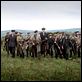 The Wind that Shakes the Barley : photo Ken Loach