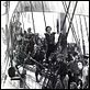 Der Herr der sieben Meere : photo Errol Flynn, Michael Curtiz
