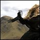 Der Sternwanderer : photo Matthew Vaughn, Michelle Pfeiffer