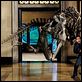 Nachts im Museum