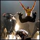 Stomp the Yard : photo Sylvain White