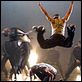Stomp the Yard : photo Sylvain White